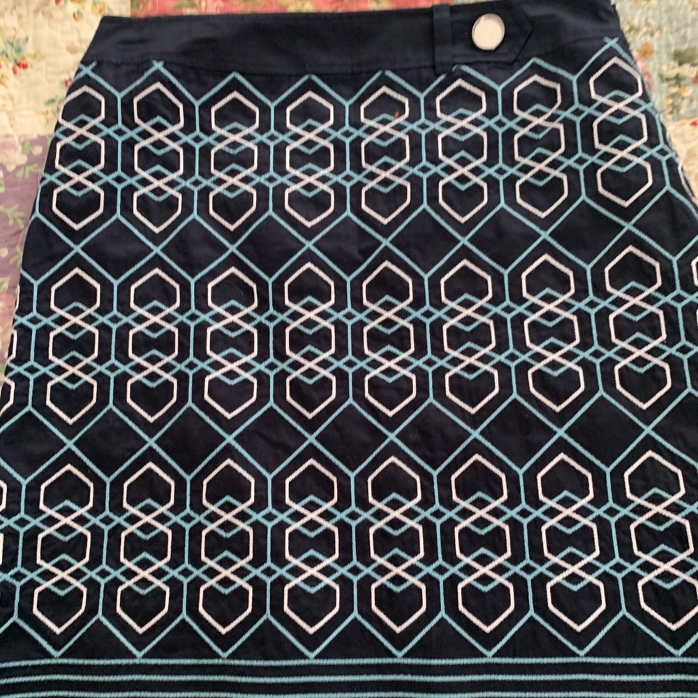 Ann Taylor Skirt